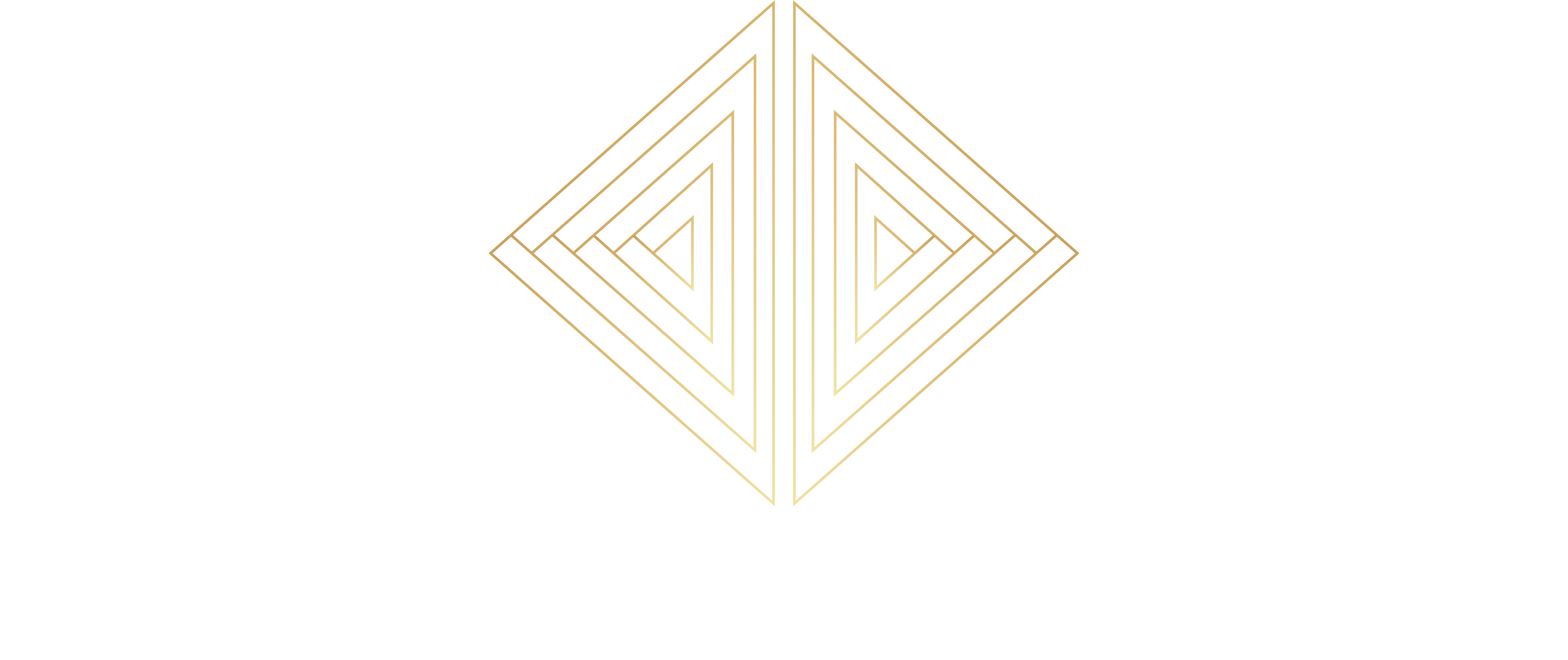 mouettecapitalgroup